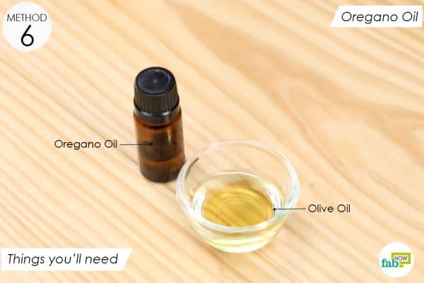 things you'll need to make oregano oil application