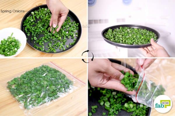put the cut and frozen spring onions in a ziplock baggie