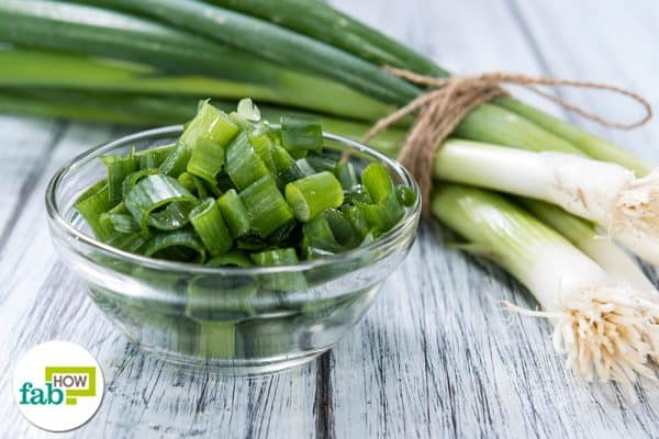 ways to store and preserve spring onions for longer durations