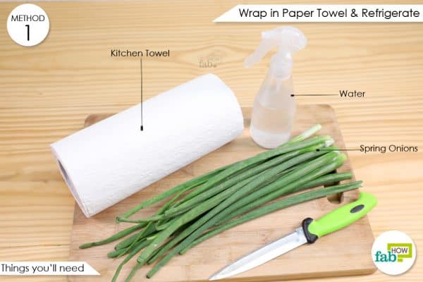 things you'll need to refrigerate cut spring onions