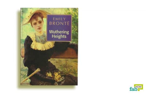 wuthering heights by emily bronte