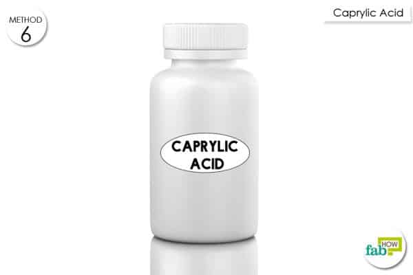 caprylic acid