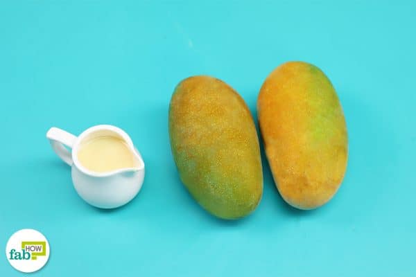 mango things needed