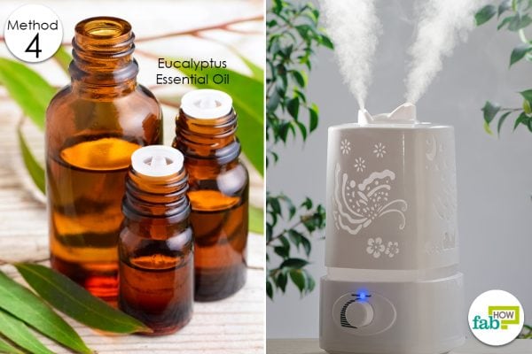 steam and humidifier