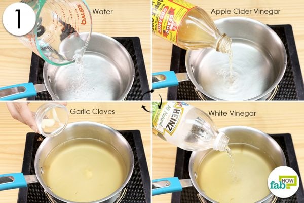 add water vinegar garlic in pan