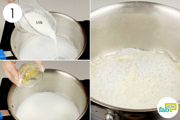 boil milk with crushed garlic